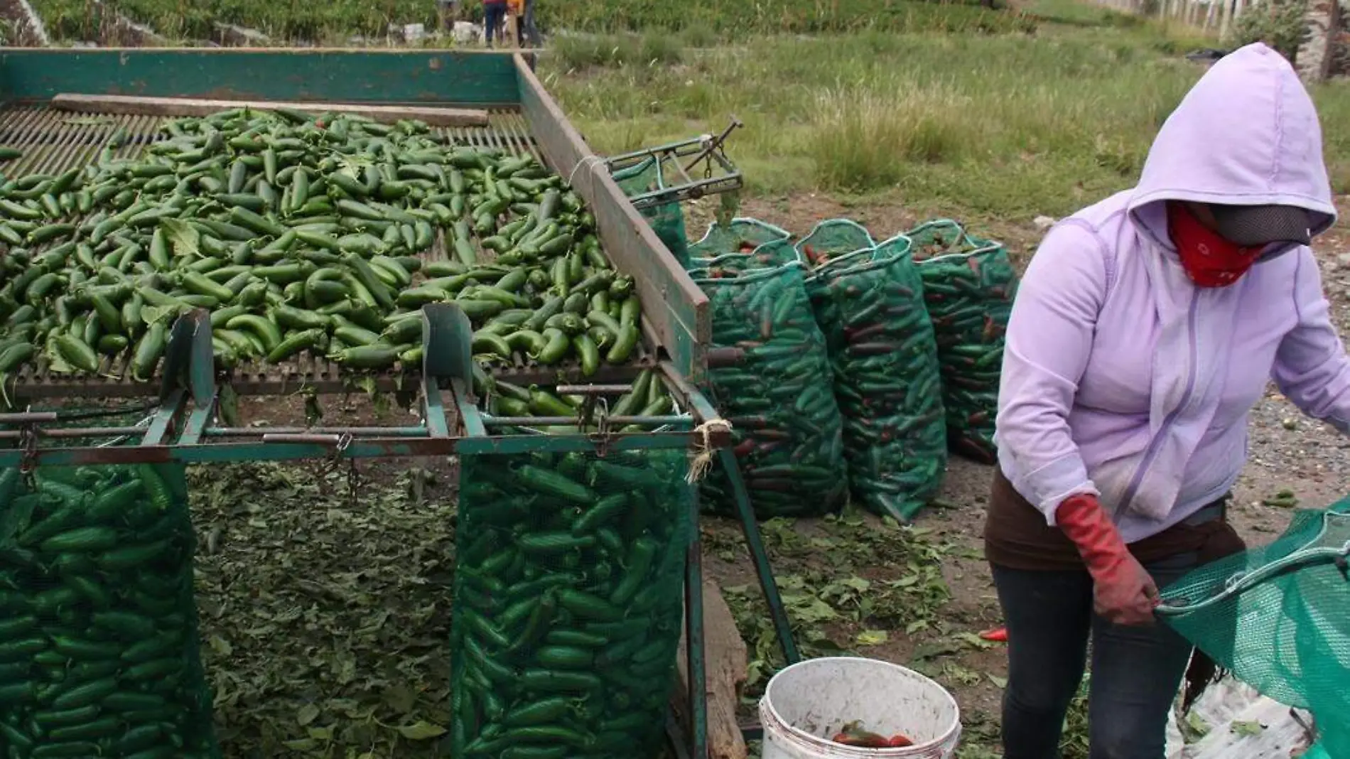 La producción estatal